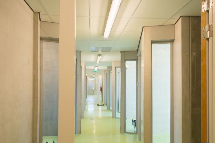 Dierenasiel-001.jpg