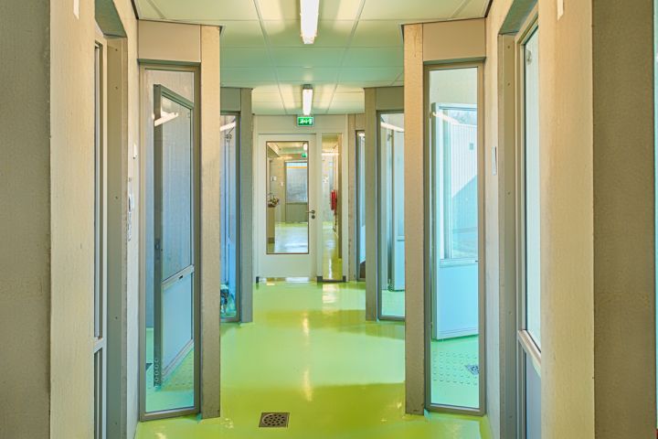 Dierenasiel-002.jpg